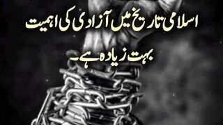 Mein Azadi Ki Ahmiyat ||  history #Viral || Kashaf butt