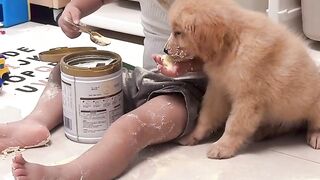 Fun with Dogs