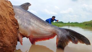 Amazing Daily Life Hand Fishing Video Flowing Water Big Fish Try To Eat Small River Fish