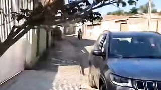 Fake speed bumper
