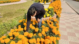 gardenning