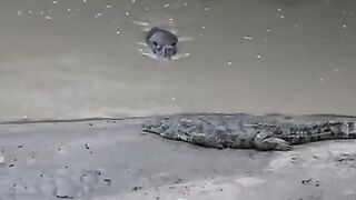 This is my beach!