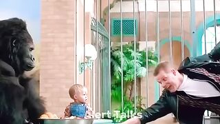 Gorilla Attacks for baby! #monkey #amazingfacts #animals #fact #gorilla#loin#animation#shorts#viral