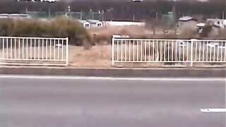 Abrupt tsunami