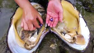 Freshwater Giant Purple Clams Produce Priceless, Breathtaking Pearls