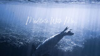 Under The Sea by Meditate With Me