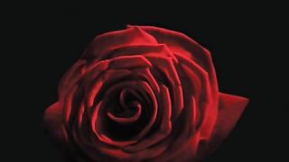 love song,kumar sanu.mere dil mean rahte ho -chandchandg