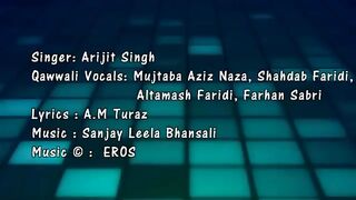 Aayat   Tujhe Yad kar liya hai Aayat ki tarah BAJIRAO MASTANI 2015   RANVEER SINGH   PRIYANKA CHOPRA