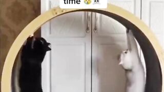 Two troublemakers exercises at the same time! XDDD