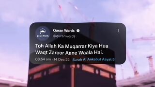 Quran Translation Holly Quran