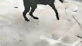 New
