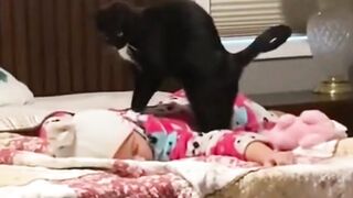When You Don't Have Money For SPA But You Have A Cat Instead!