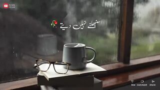 Hum_Saath_Main_Chalte_Hai_||_New_TikTok_Shayari_||_Shayari_Whatsapp_status_||_Shayari_urdu(4