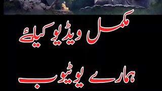 History of budhha | gautam budhha | Histroy4u