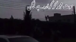 Shairy by rafay 69..