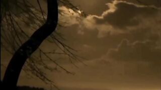 Beautiful view of nature 246