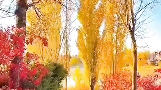 Beautiful view of nature 248