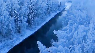 Beautiful view of nature 249