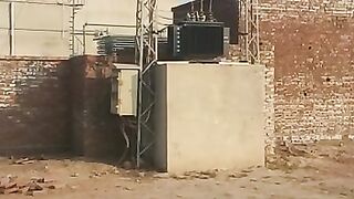 Potato Cold Store