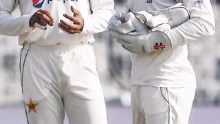 Cricket