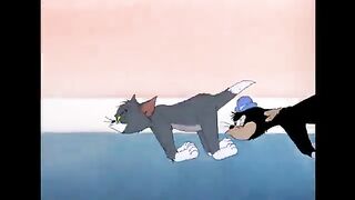 Tom and jerry Funny Cartoons