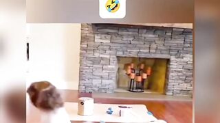 Funny clip