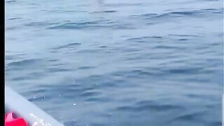 A snapshot of a whale opening its mouth in the middle of the ocean