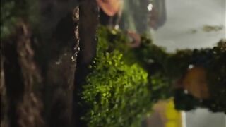 Groot..Animation 8k