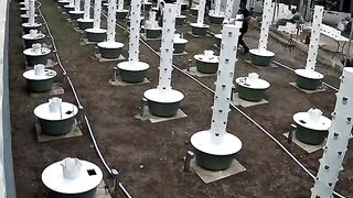 ХОРИЗОНТАЛНО ЗЕЛЕНЧУКОПРОИЗВОДСТВО