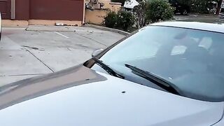 friends car skating funny videos.