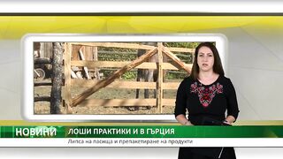 ЛОШИ ПРАКТИКИ В ГЪРЦИЯ