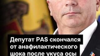 ПОЙНТ МОЛДОВА 124