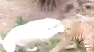3843fb082846534a09ab6993acd4c2d3.k