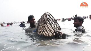 গ্রামের নদীতে মাছ ধরার দৃশ্য || Village Fishing Bangladesh