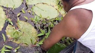 গ্রামে মাছ ধরার দৃশ্য || Village Fishing Bangladesh
