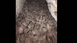 Bangladesh. এটা কি সত্যিই হাসিনার আয়নাঘর। #আয়না