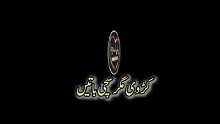Urdu beautiful quotes 25