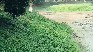 A beautiful pleasant environment