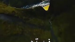 Hazrat Mola Ali Ne Farmaya ????????||