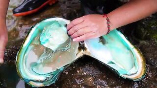 A Mutated Giant Clam Gives Birth to an Astonishing Field of Beautiful Pearls – Truly Unbelievable!