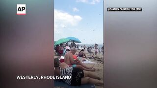 WATCH_ Swarm of dragonflies surprise beachgoers in Rhode Island.