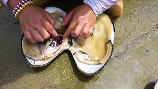 A Sparkling Giant Clam vs. an Ugly Giant Clam: Which One Produces Beautiful Colored Pearls?