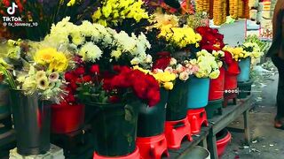 flower 11