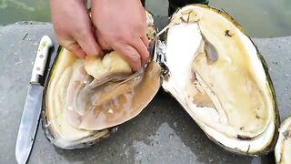 Girl Stunned After Prying Open Giant Mussel to Reveal Countless Beautiful Green Pearls