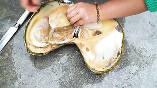 Giant Mussels in Clear Spring Water Produce an Astonishing Number of Valuable Pearls