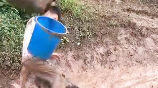 Kiwi Funny Ticktock Video 2024# viral#short