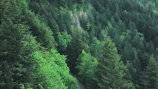 Beauty of nature 62
