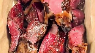 Cute puppy 6
