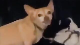 When you try to be nice.