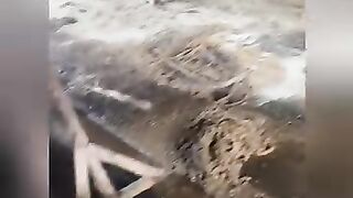 শেষ টা ভালো ছিলো